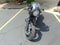 2019 KAWASAKI W800 Base